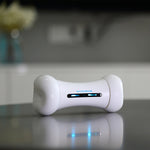 Toy bone for dog interactive smart wickedbone