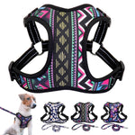 Fashion Dog Cat Harness and Leash Set Nylon Reflective Mesh Small Medium Dogs Cat Harness Vest Leash for Chihuahua Puppy Pet