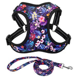 Fashion Dog Cat Harness and Leash Set Nylon Reflective Mesh Small Medium Dogs Cat Harness Vest Leash for Chihuahua Puppy Pet