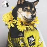 S-5XL Dog Raincoat Jacket Clothes Windproof Cat Dog Jacket Fashion Waterproof Reflective Pet Clothing Small Pets Large Pets Coat