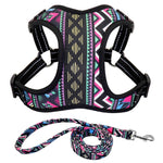 Fashion Printed Nylon Dog Harness Vest Reflective No Pull Dog Harness Leash Set For Small Medium Dogs Cats French Bulldog