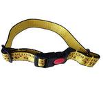 Pet Dog Collar Leash Set Fashion Lettered 1.5cm Durable Nylon Rope Leads French Bulldog Puppy Walking Dogs Pet Supplies