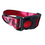 Pet Dog Collar Leash Set Fashion Lettered 1.5cm Durable Nylon Rope Leads French Bulldog Puppy Walking Dogs Pet Supplies