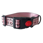 Pet Dog Collar Leash Set Fashion Lettered 1.5cm Durable Nylon Rope Leads French Bulldog Puppy Walking Dogs Pet Supplies