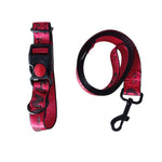 Pet Dog Collar Leash Set Fashion Lettered 1.5cm Durable Nylon Rope Leads French Bulldog Puppy Walking Dogs Pet Supplies