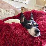 Dog & Cat Long Plush Calming Beds - Ultra-soft Pets Basket